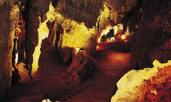 Cradle of Humankind - South Africa's Top 10 Spots