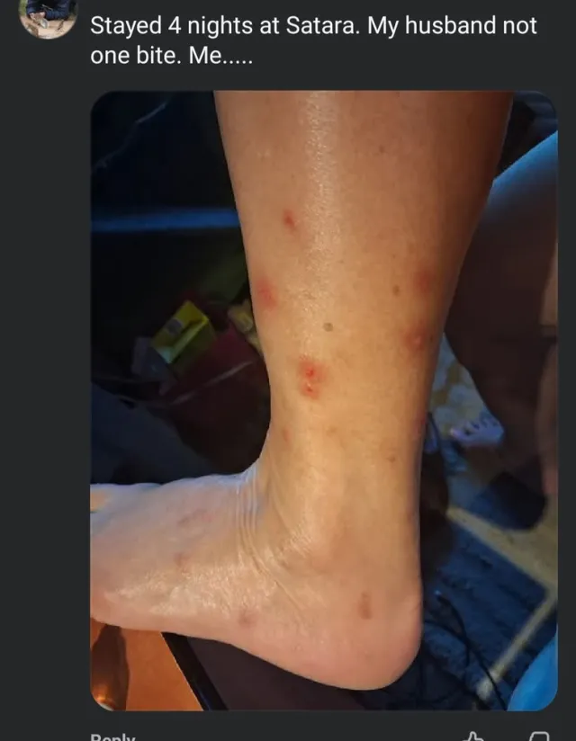 Screenshot_20260515_194802_Facebook