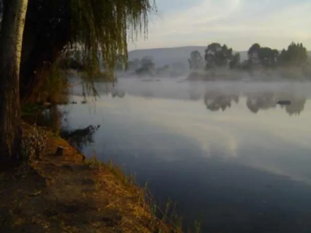 Misty morning 6
