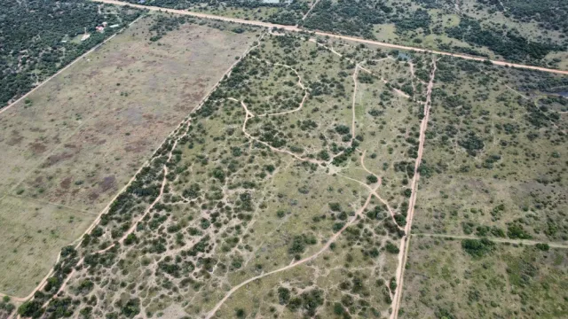 dji_fly_20260313_165254_454_1773413689114_photo_optimized