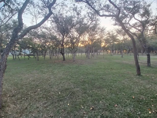 20260717&lowbar;165035