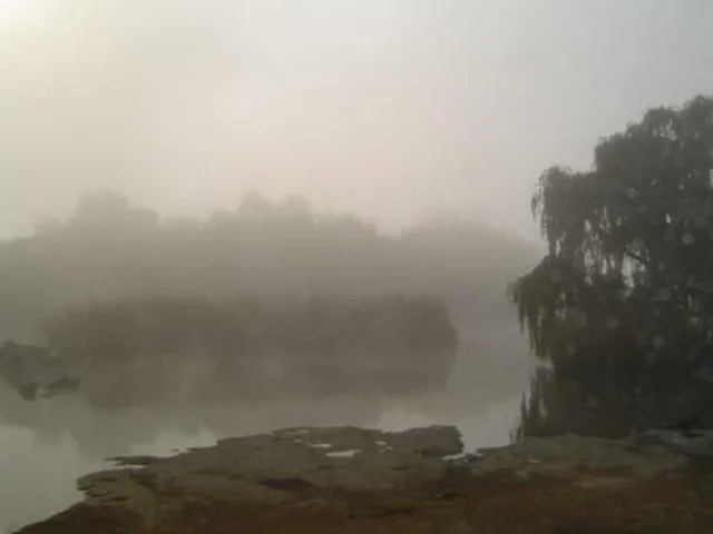 Misty morning 1