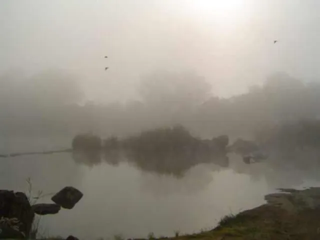 Misty morning 3